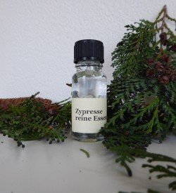 Late Bloomers essential oil cypress
